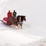 1402_RupertSleighS_059 (Large)