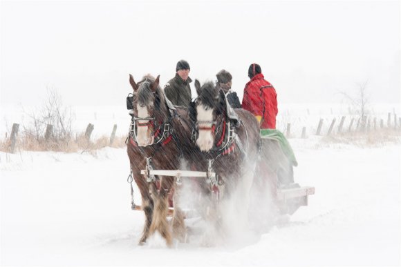 Sleigh ride